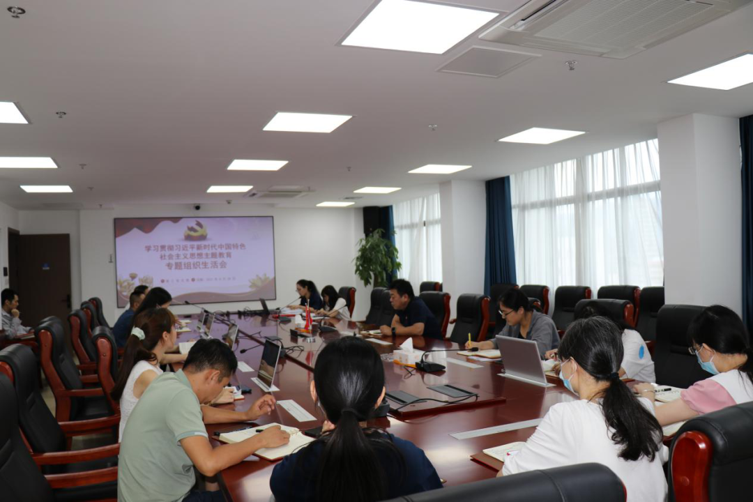 主題教育丨石化設計院各黨支部召開主題教育專題組織生活會(圖4)